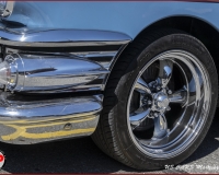 TSR Watermark - 0539